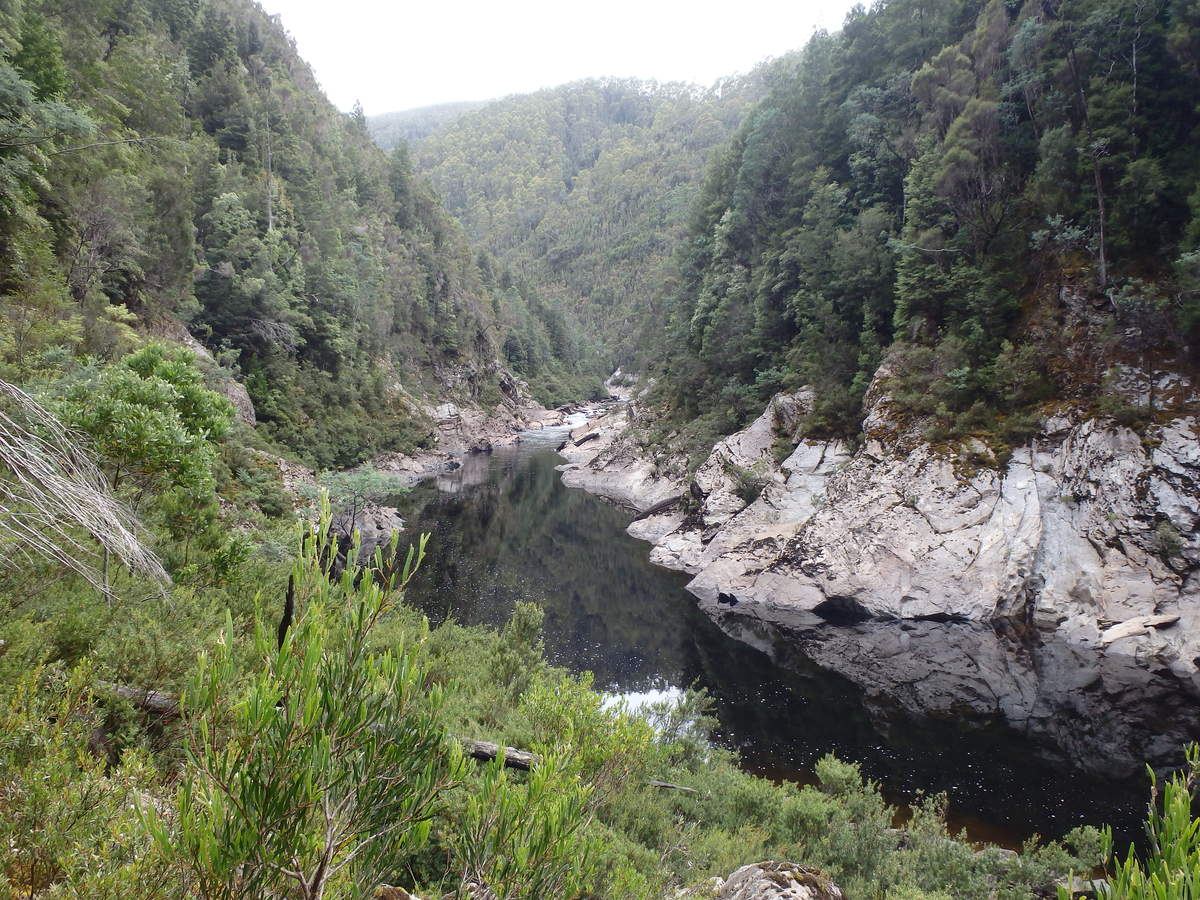 River near Blushrock Falls - Water by Nature Tasmania - Franklin River Rafting