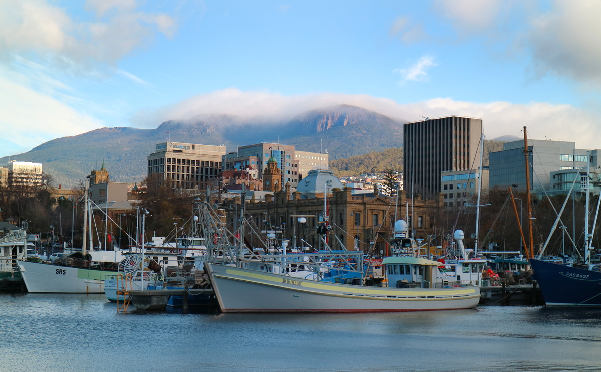 Hobart Docks with kunanyi (Mt Wellington) and TMAG - Water by Nature Tasmania-Franklin River Rafting
