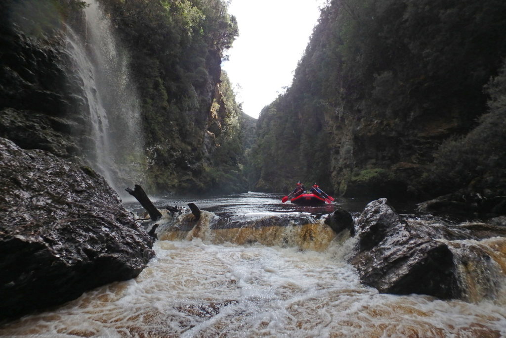 The Logjam on the Upper Franklin - Water by Nature Tasmania, Franklin River Rafting