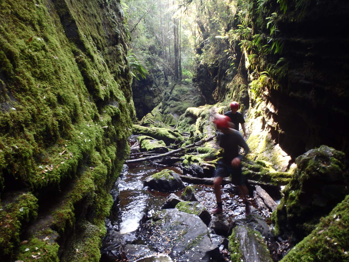 The Lost World - Water by Nature Tasmania - Franklin River Rafting