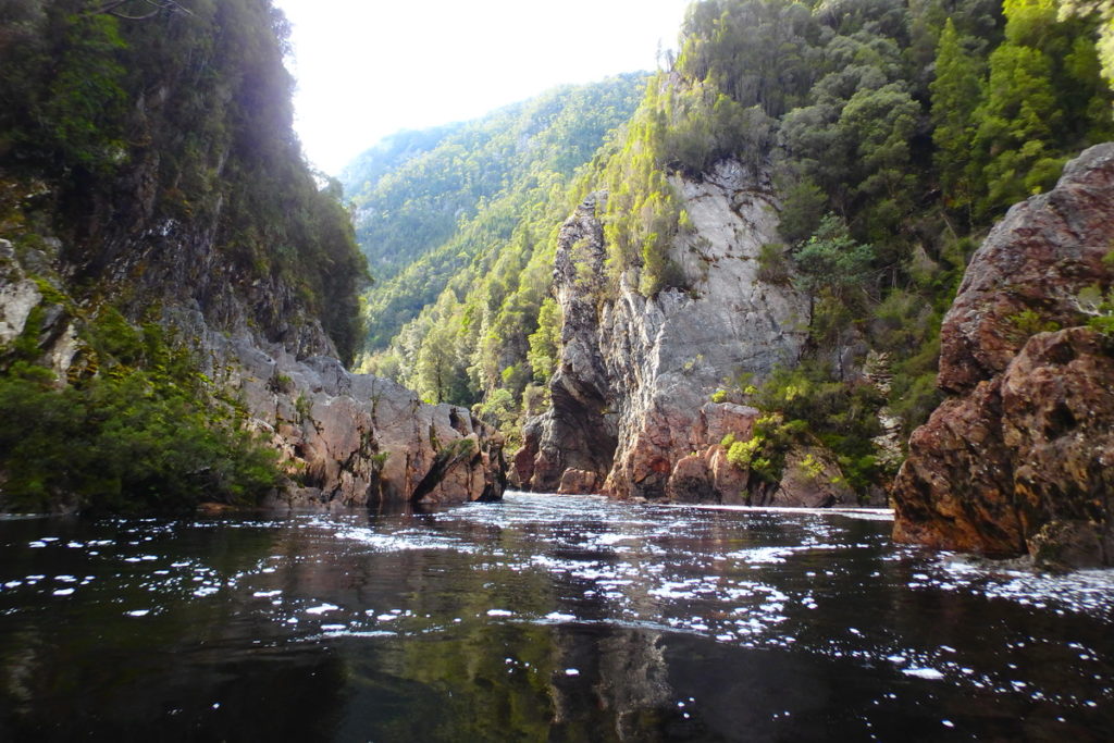 Masterpiece alcove - Water by Nature Tasmania, Franklin River Rafting