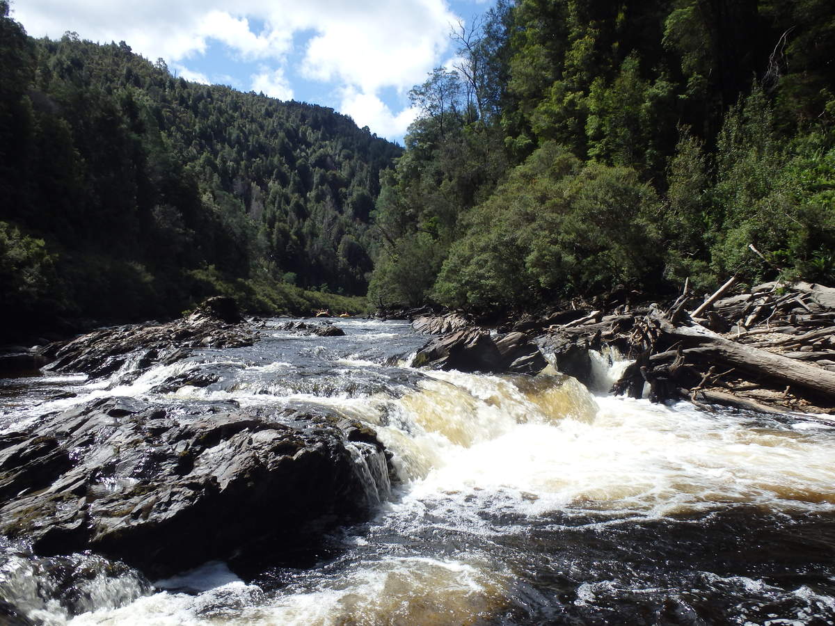 Rapid on the Middle Franklin River - Water by Nature Tasmania - Franklin River Rafting