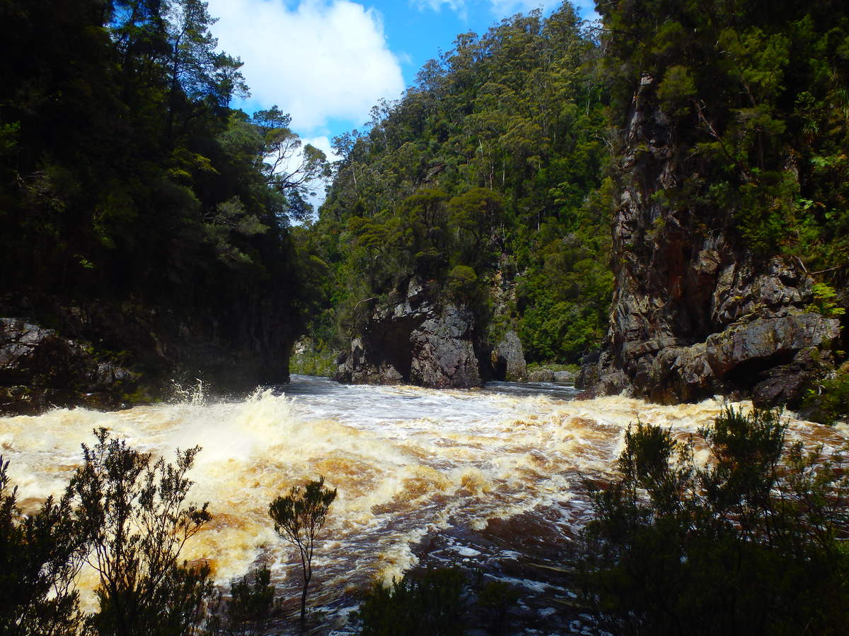 Rock Island Bend - at Water by Nature Tasmania, Franklin River Rafting ™