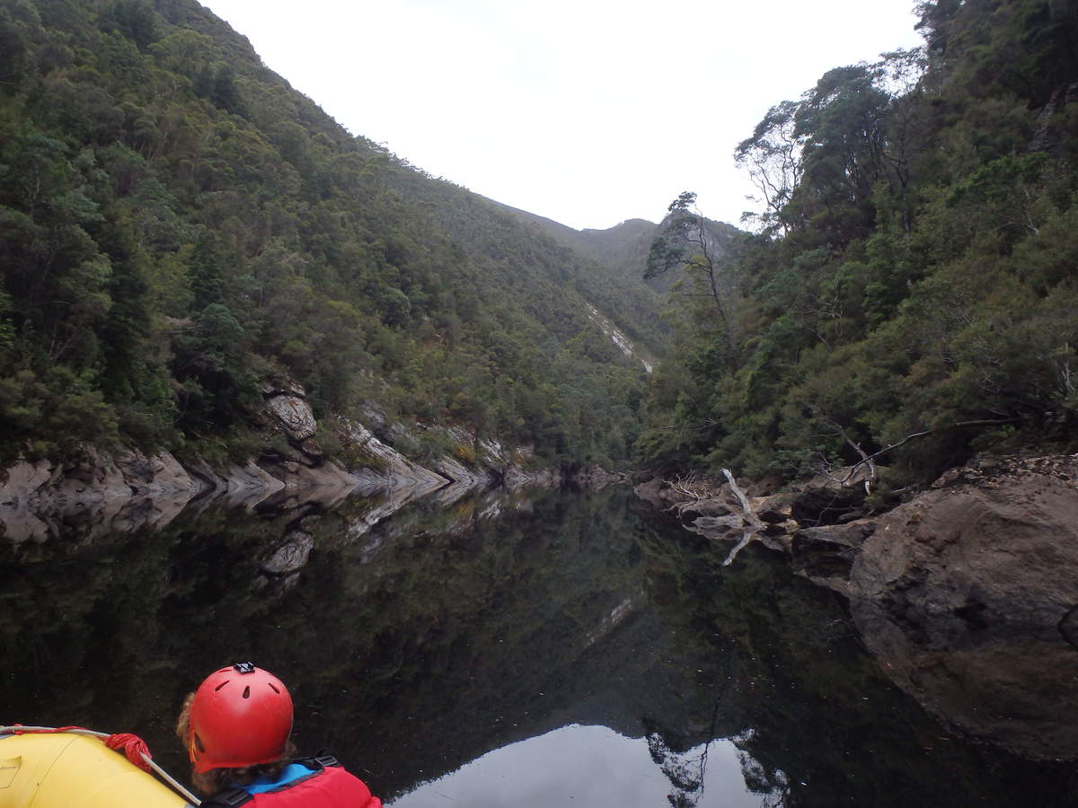 Admiring the reflections in Serenity Sound - Water by Nature Tasmania - Franklin River Rafting