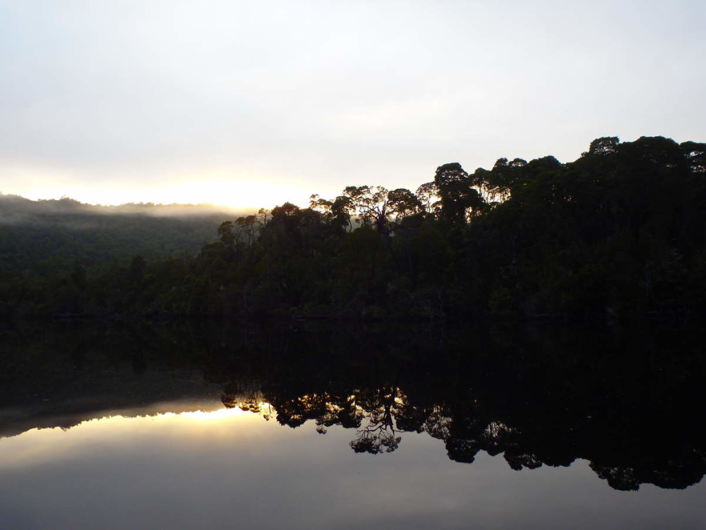 Sun rising through the mists on the Gordon River - at Water by Nature Tasmania, Franklin River Rafting™