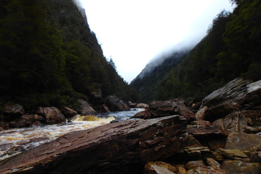 Coruscades Rapid - Water by Nature Tasmania, Franklin River Rafting