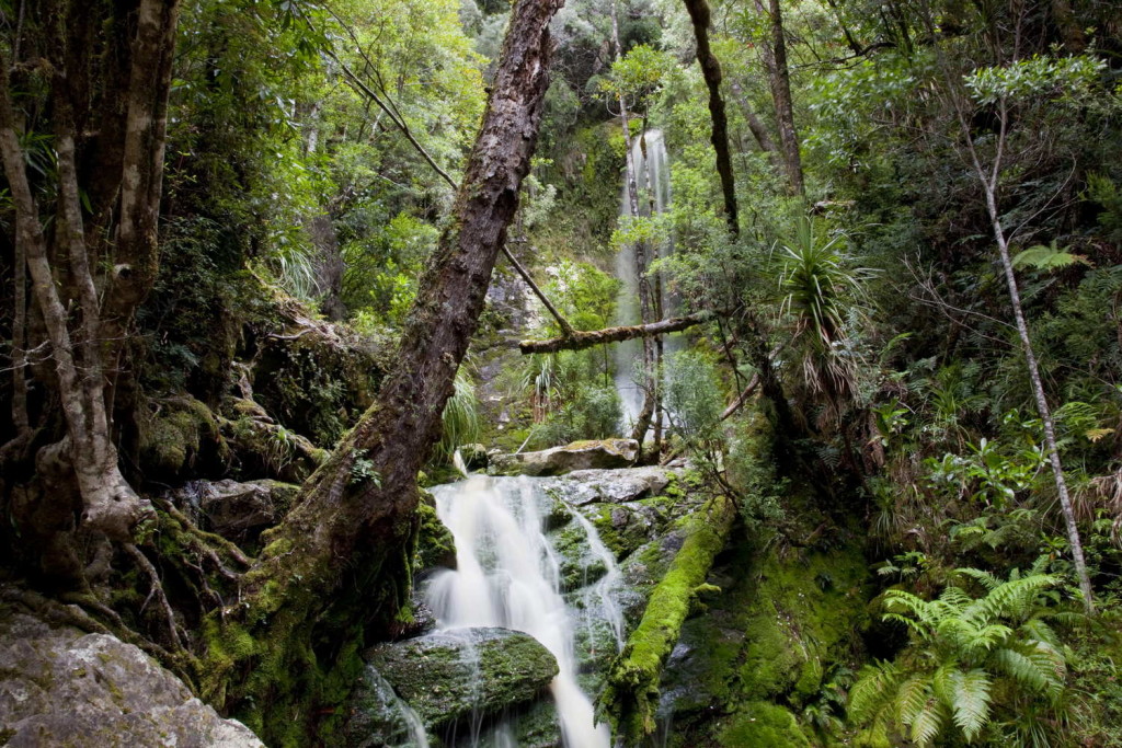 Remote wilderness at 'pig trough waterfall' with temperate rainforest