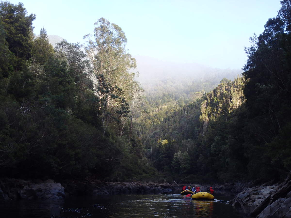 Morning mists - Water by Nature Tasmania - Franklin River Rafting