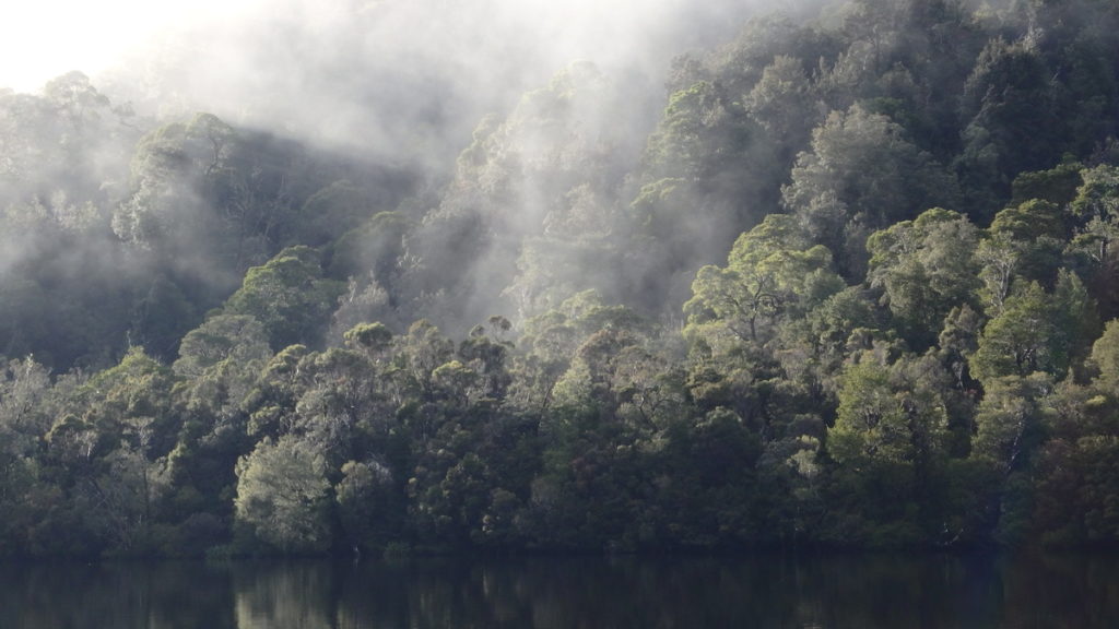 Morning sun lifting the mists off the rainforest - Water by Nature Tasmania, Franklin River Rafting