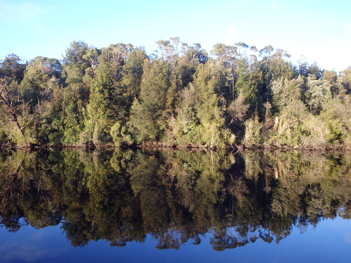 The Gordon River is famous for its reflections - Water by Nature Tasmania - Franklin River Rafting