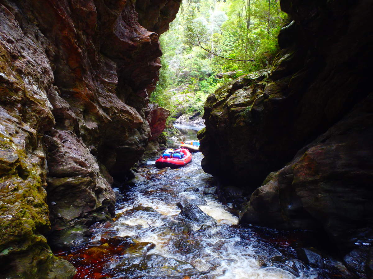Livingston Rivulet - Water by Nature Tasmania - Franklin River Rafting