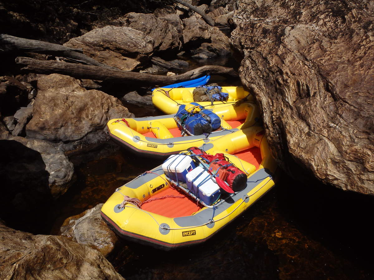 Raftjam at Logjam - Water by Nature Tasmania - Franklin River Rafting
