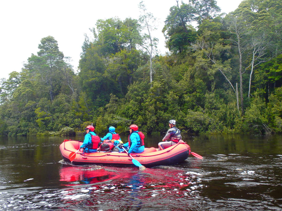 Cruising the Lower Franklin - at Water by Nature Tasmania, Franklin River Rafting