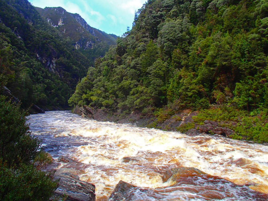 Coruscades Rapid, Water by Nature Tasmania, Franklin River Rafting ™