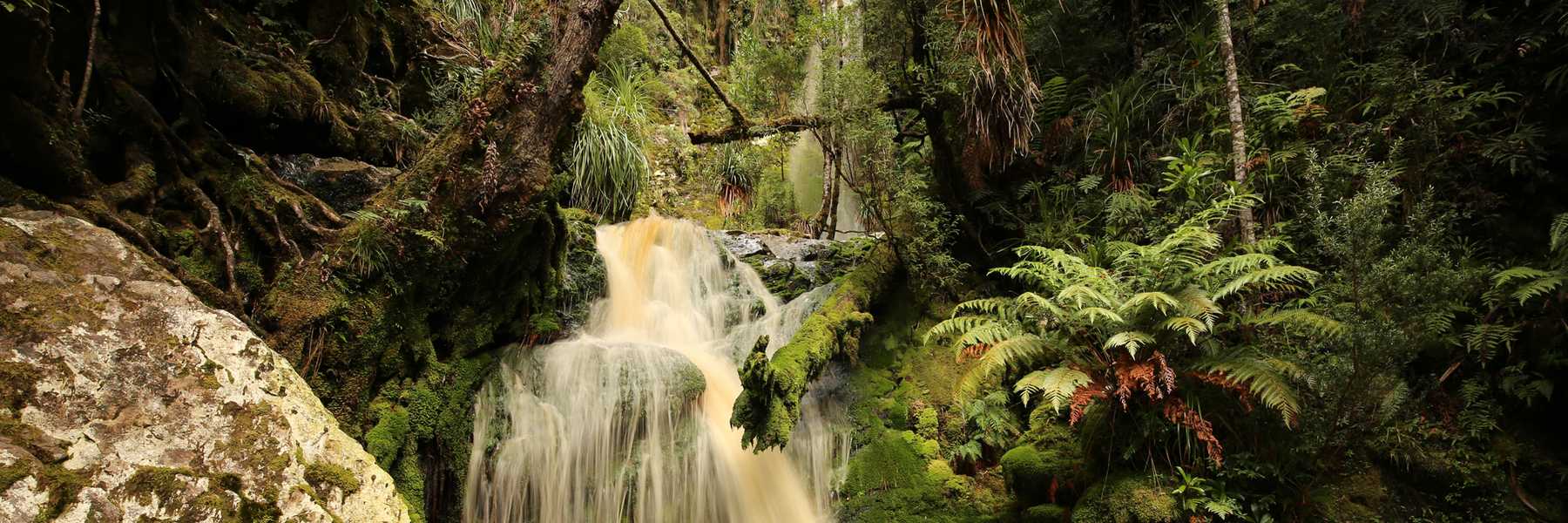 Pig Trough waterfall Franklin River Tasmania